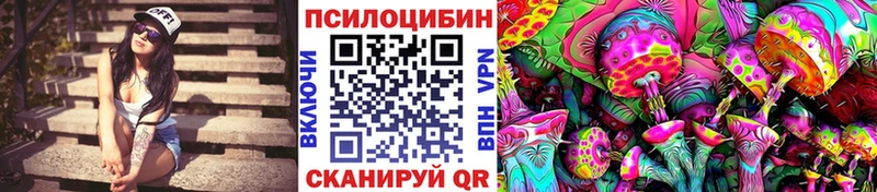 Галлюциногенные грибы мицелий нарко площадка клад мега Заозёрск где купить