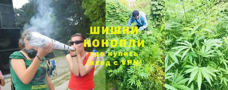 Канабис OG Kush  мега вход  Заозёрск  хочу  